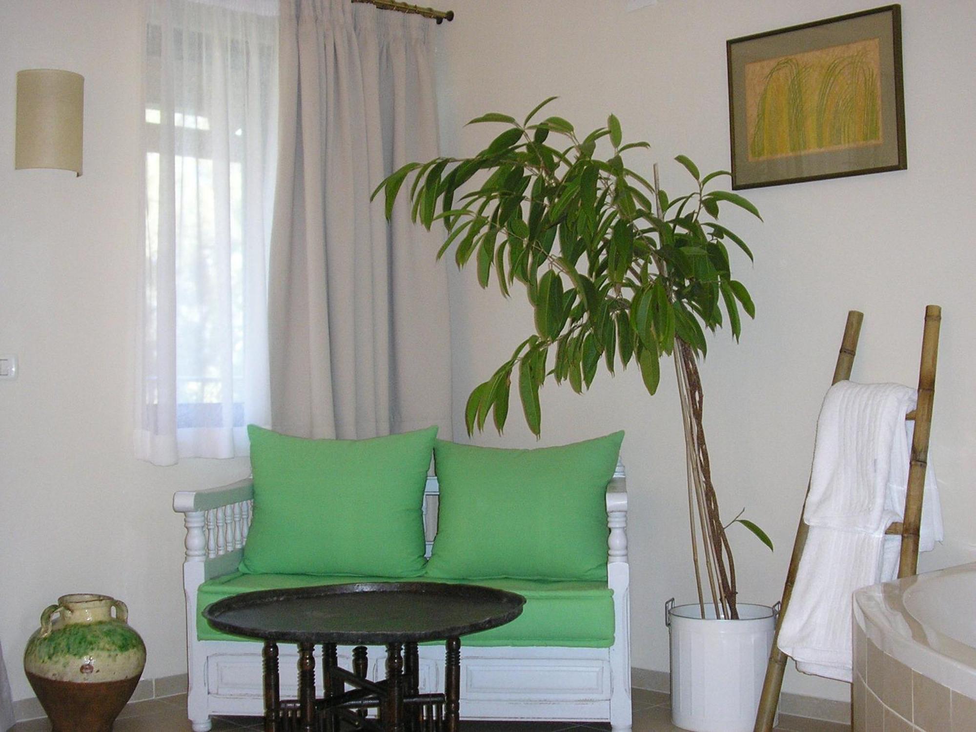 Shulamit Yard Hotell Rosh Pinna Exteriör bild