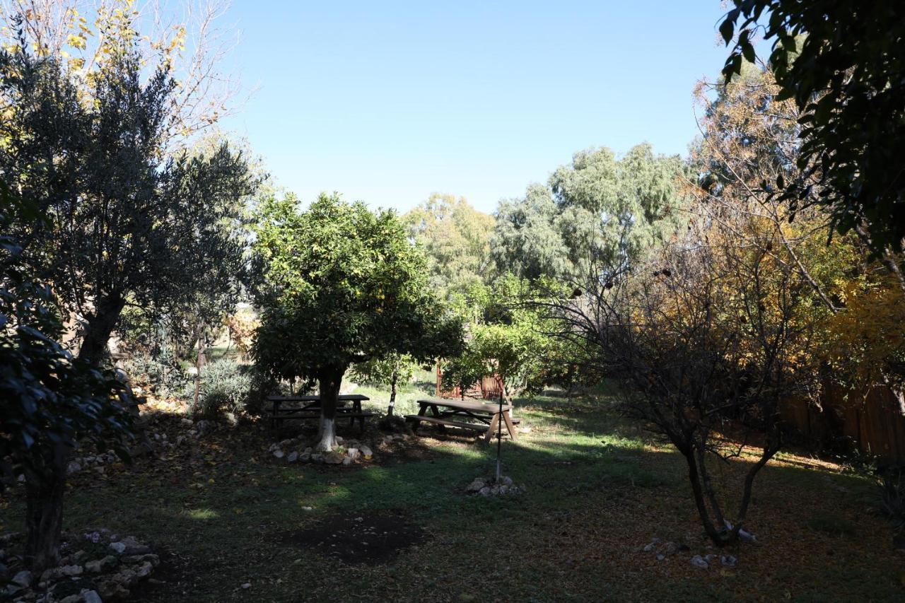 Shulamit Yard Hotell Rosh Pinna Exteriör bild